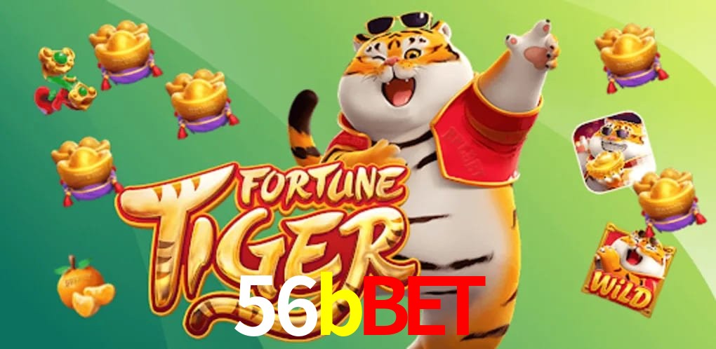 Experiência VIP 56bbet